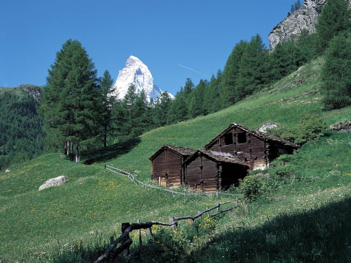 Bellevue-6 By Interhome Apartamento Zermatt