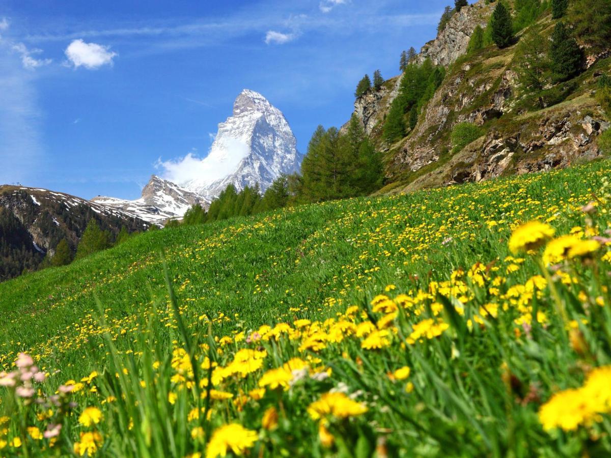 Apartamento Bellevue-6 By Interhome Zermatt